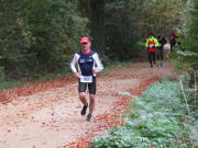 25hambachwald061.jpg