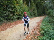 25hambachwald062.jpg