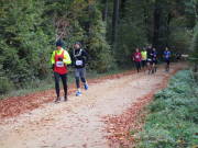 25hambachwald063.jpg