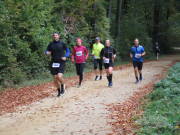 25hambachwald064.jpg