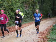 25hambachwald065.jpg