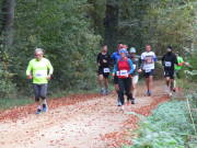25hambachwald071.jpg
