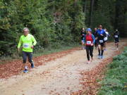 25hambachwald072.jpg