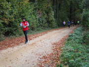 25hambachwald077.jpg