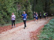 25hambachwald078.jpg