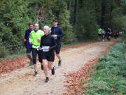 25hambachwald081.jpg