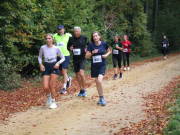 25hambachwald083.jpg
