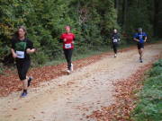 25hambachwald084.jpg