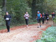25hambachwald086.jpg