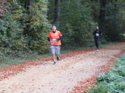25hambachwald090.jpg