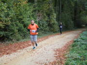 25hambachwald091.jpg