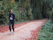 25hambachwald092.jpg