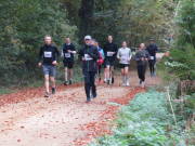 25hambachwald093.jpg