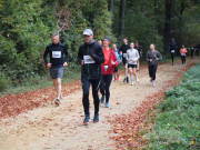 25hambachwald094.jpg
