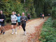 25hambachwald096.jpg