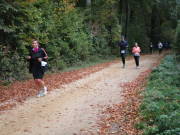 25hambachwald097.jpg