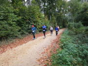 25hambachwald099.jpg