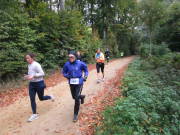25hambachwald100.jpg