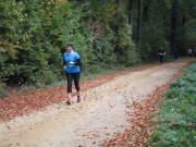 25hambachwald104.jpg