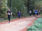 25hambachwald105.jpg