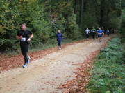 25hambachwald106.jpg