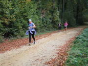 25hambachwald111.jpg