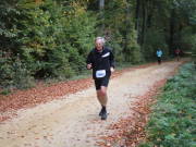 25hambachwald113.jpg