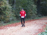 25hambachwald122.jpg