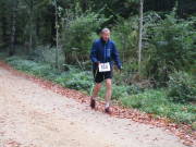 25hambachwald128.jpg