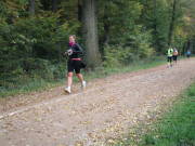 25hambachwald138.jpg