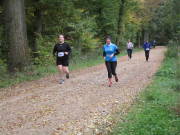 25hambachwald142.jpg