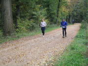 25hambachwald143.jpg
