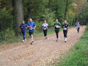 25hambachwald146.jpg