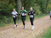 25hambachwald147.jpg
