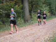 25hambachwald149.jpg