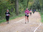 25hambachwald150.jpg