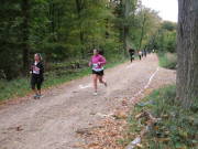 25hambachwald151.jpg