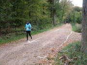 25hambachwald157.jpg