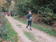 25hambachwald162.jpg