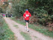 25hambachwald163.jpg