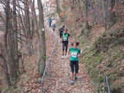 25rurseemarathon0111.jpg