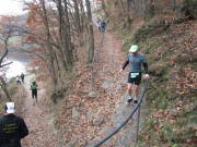 25rurseemarathon0114.jpg