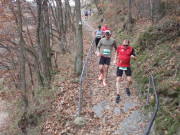 25rurseemarathon0305.jpg
