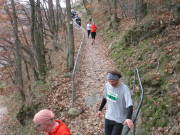 25rurseemarathon0808.jpg