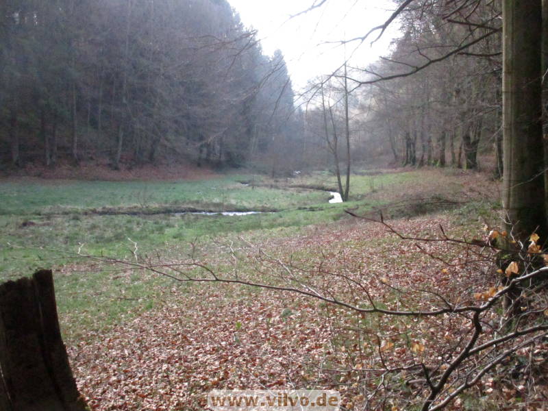 26belgenbach005.jpg