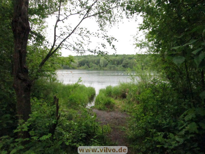 26huertth005.jpg