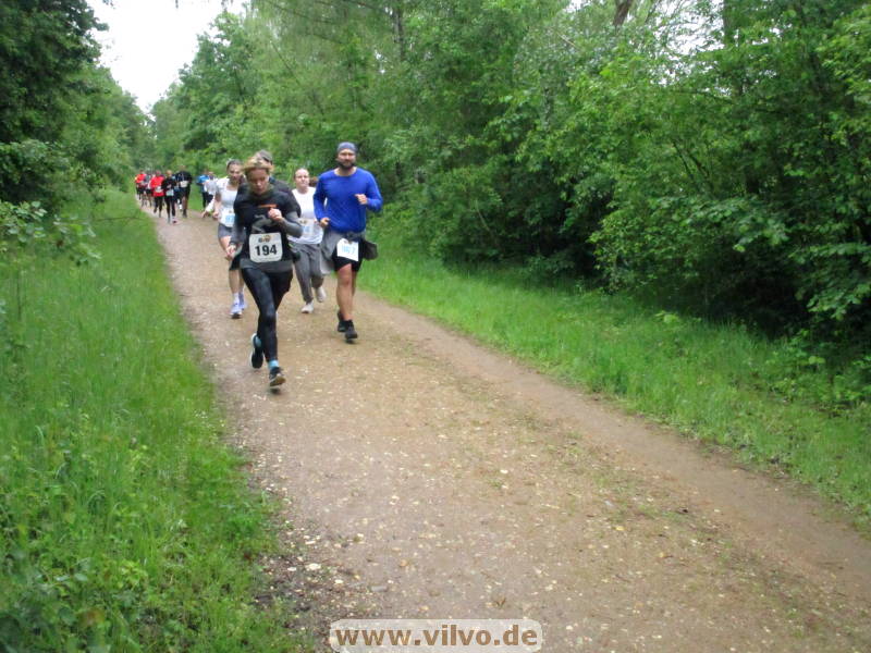 26huertth264.jpg