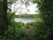 26huertth005.jpg