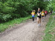 26huertth034.jpg