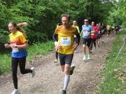 26huertth035.jpg